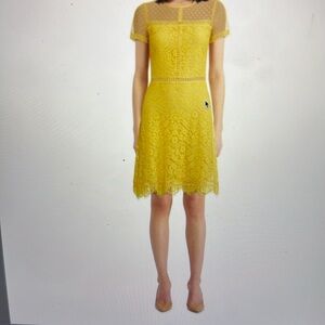 Lace A-line Dress by Kensie